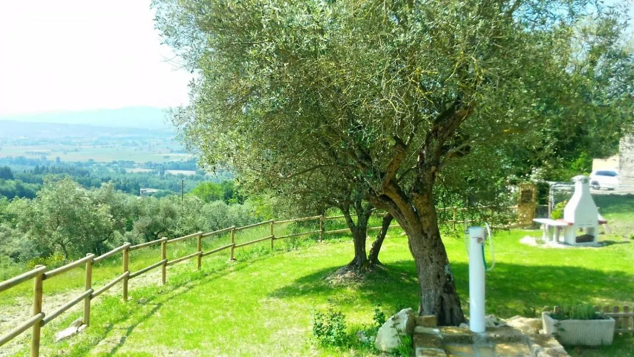 Alloggio per agriturismo Agriturismo Calcinaia sul lago Villa Sansepolcro