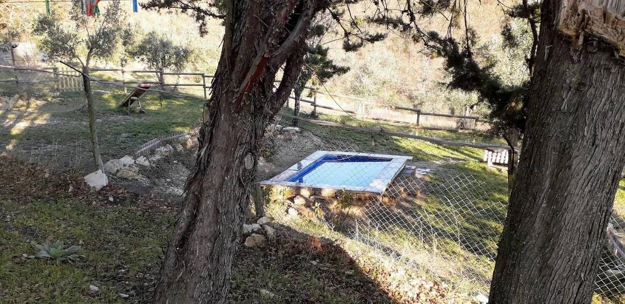 Farm stay Agriturismo Calcinaia Sul Lago Villa Sansepolcro