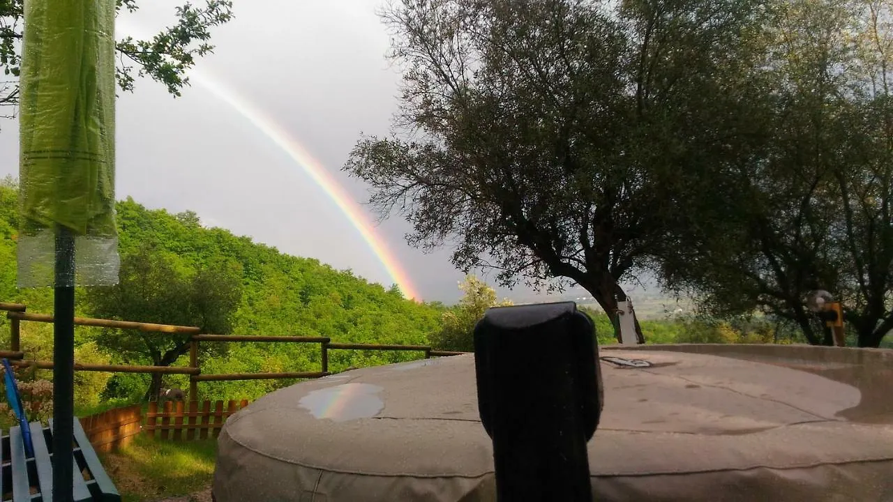 Farm stay Agriturismo Calcinaia Sul Lago Villa Sansepolcro Italy